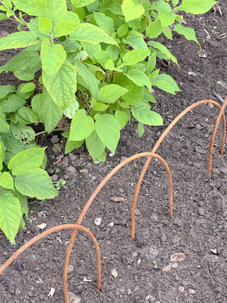 Rusted Garden Border Edging Hoops