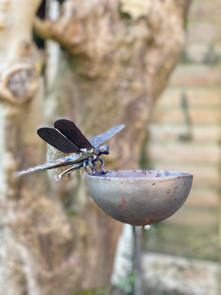 Dragonfly rain catcher - *premium*