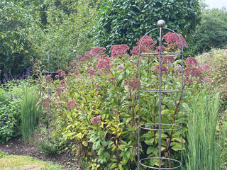 Metal Plant Supports & Garden Obelisks