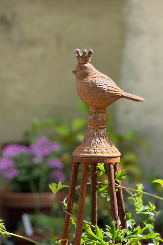 Birdy King Garden Obelisk – Solid Steel Plant Support