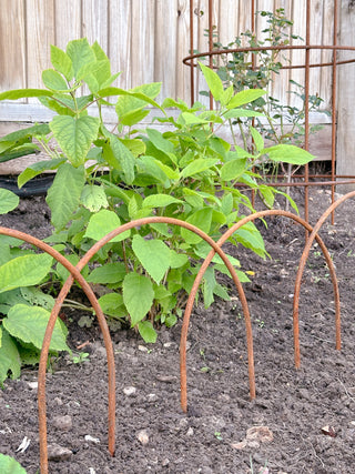 Rusted Garden Border Edging Hoops