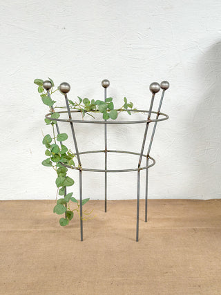 Peony Support & Herbaceous Plant Support