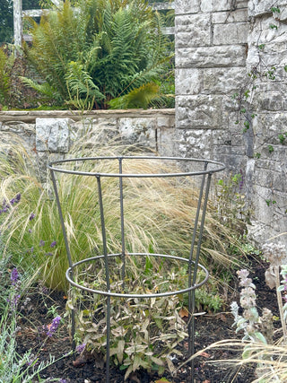 Fluted Peony and Shrub Plant Support
