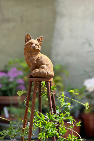 Foxy Garden Obelisk – Solid Steel Plant Support
