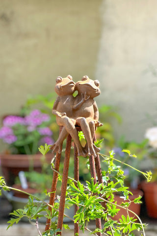 Love Frogs Garden Obelisk – Solid Steel Plant Support