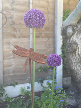 Dragonfly plant support