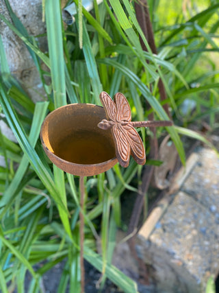 Dragonfly rain catcher