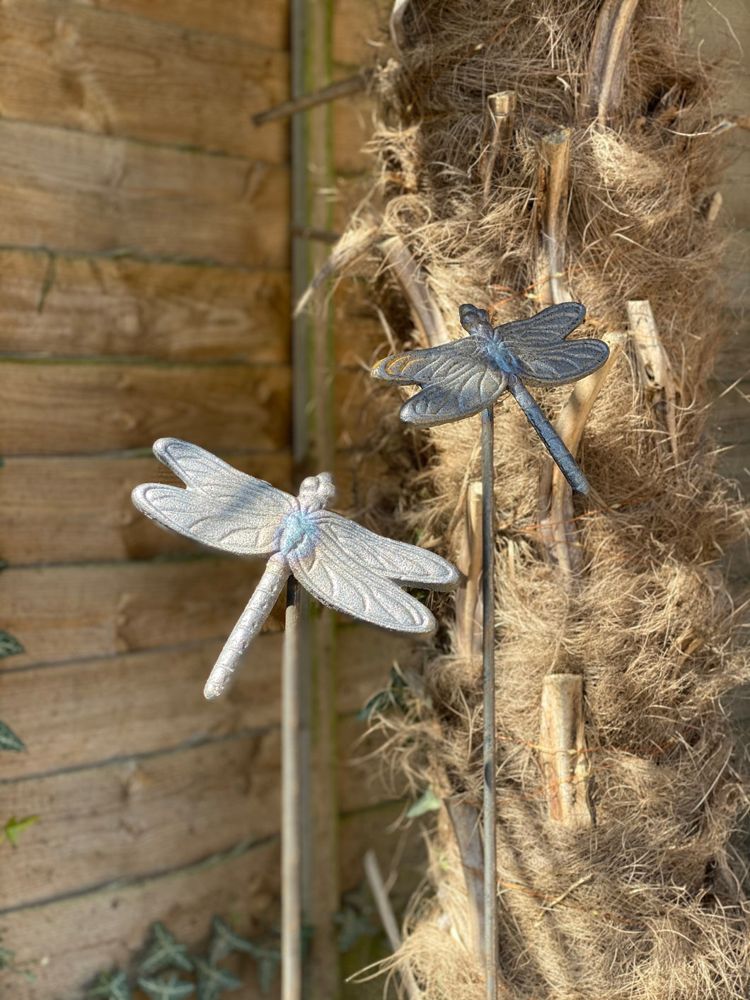 Dragonfly plant support