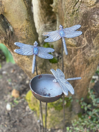 Dragonfly rain catcher