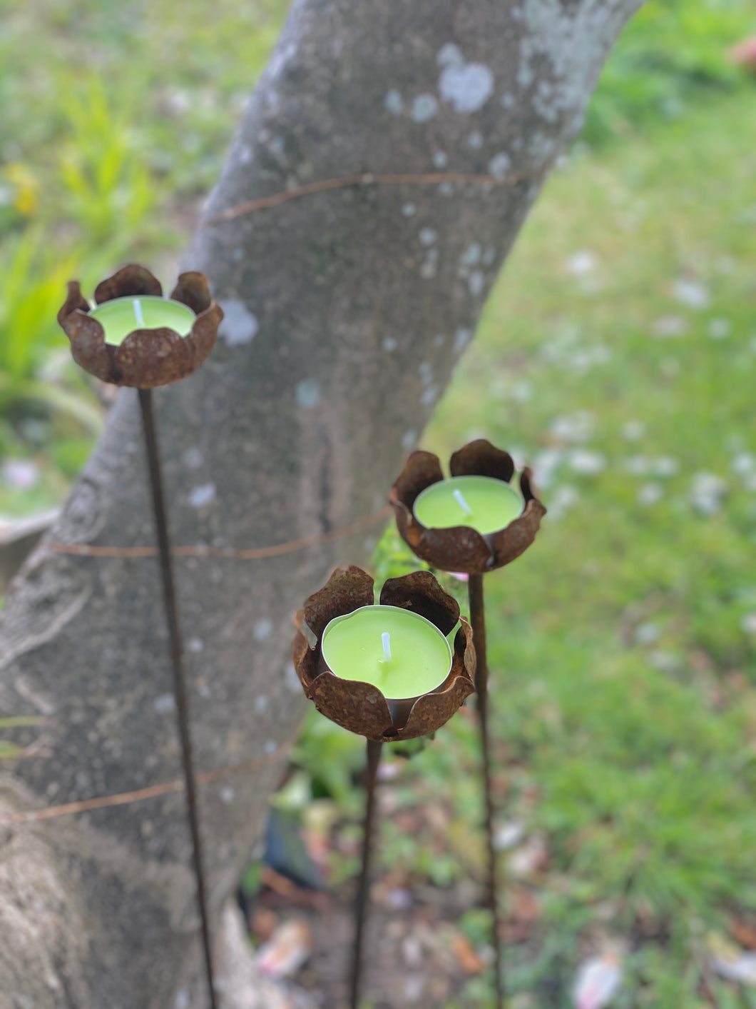 Garden and patio citronella / tealight holder - Set of 3