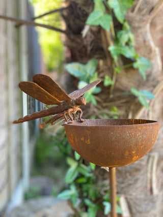 Dragonfly rain catcher - *premium*