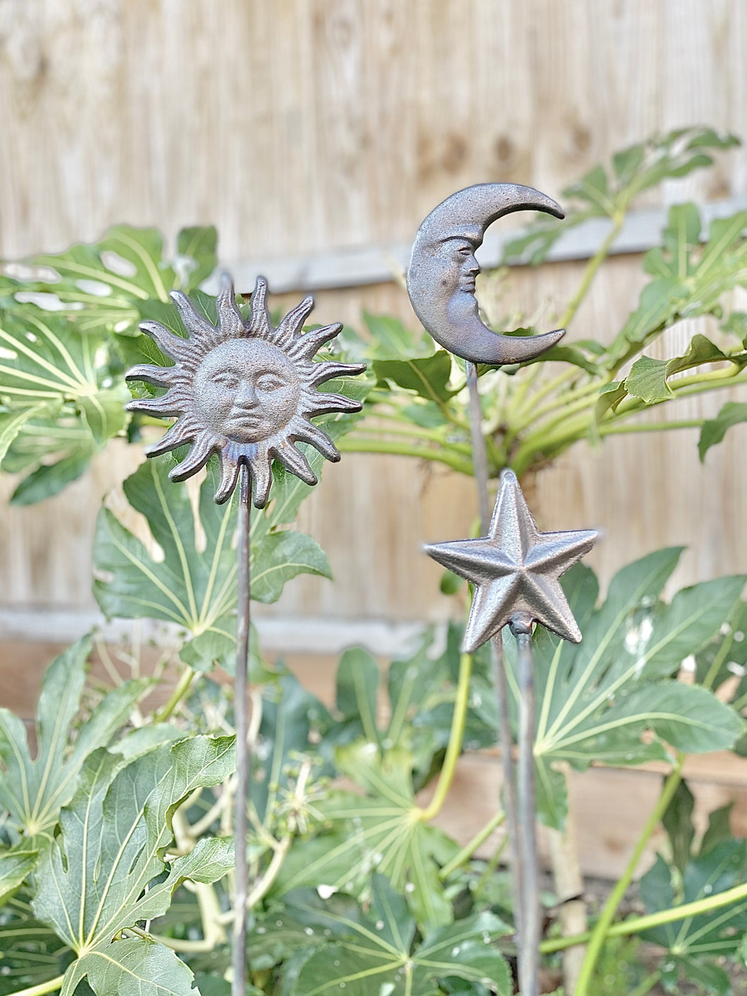 Sun, Moon and Star plant supports